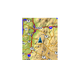 Garmin eTrex 20x Глонасс - GPS с предустановленной картой &quot;Дороги России. РФ. ТОПО&quot;